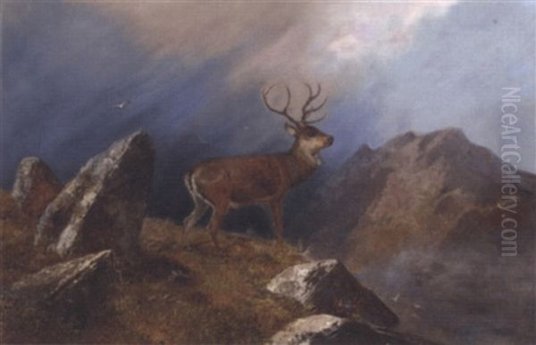 A Stag In A Highland Landscape - view 1