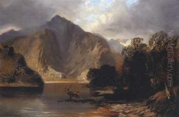 In The Highlands - view 1