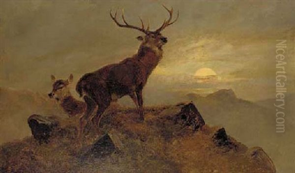 Dusk Over The Highlands - view 1