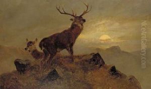 Dusk Over The Highlands