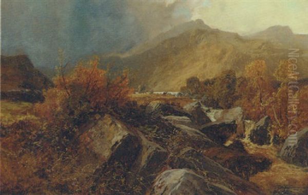 A Stag In A Highland Landscape - view 1