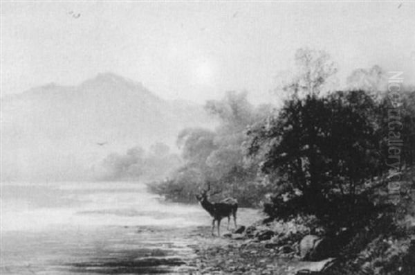 Stag By The River - view 1