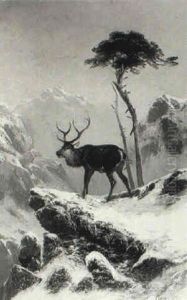 A Stag In The Snow