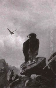 Steinadler Im Gebirge by Clarence Roe
