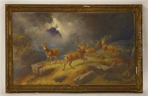 Stags In A Highland Landscape by Robert Henry Roe