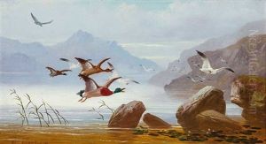 Landschaft In Schottland Mit Auffliegenden Enten Und Mowen Vor Gebirgiger Kuste Landschaft In Schottland Mit Auffliegenden Enten Und Mowen Vor Gebirgiger Kuste