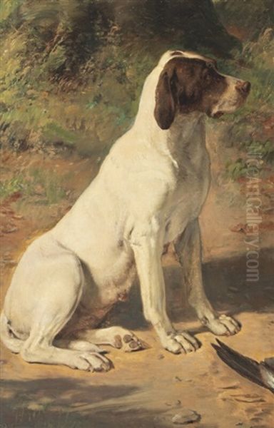 A Danish Pointer - view 1