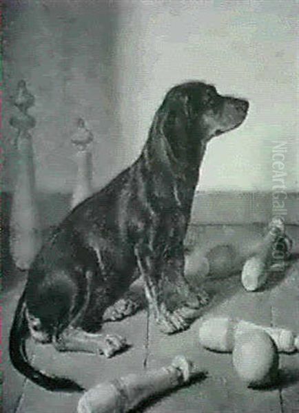 En Hund I Et Spil Kegler - view 1