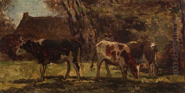 Grazing Cows, Calmpthout - view 1