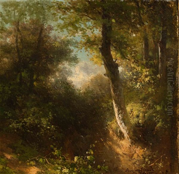 The Forest Path - view 1