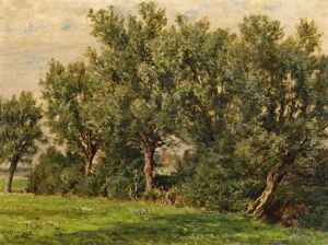 Waldstudie Waldstudie