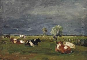 Cows In A Pasture Cows In A Pasture