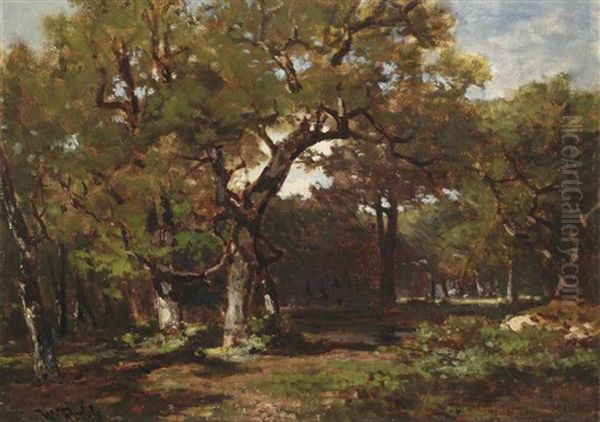 A Wooded Landscape - view 1