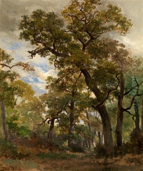 Fontainebleau Forest - view 1