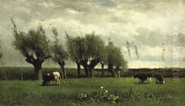 Wilgenrij - Cattle Grazing Near Willows - view 1