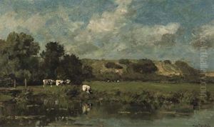 By Zomerzorg, Te Bloemendaal - By Haarlem - Cattle In The Dunes