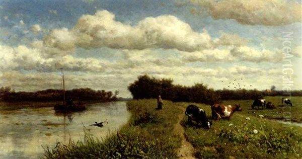 Canal Near Schiedam: Cows Grazing By A Canal - view 1