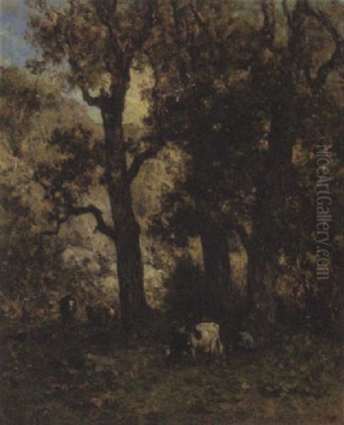 Waldlandschaft - view 1