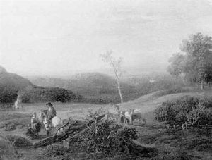 After The Harvest