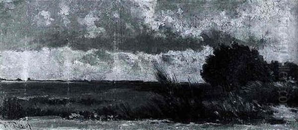 Polder Landscape - view 1
