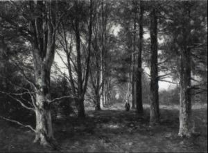 A Peasant Woman Walking On A Sunlit Forest Path, Renkum by Willem Roelofs