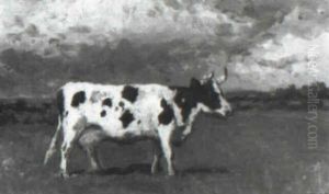 Zwartbonte Koe Zwartbonte Koe