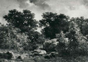 A Wood Gatherer In A Forest