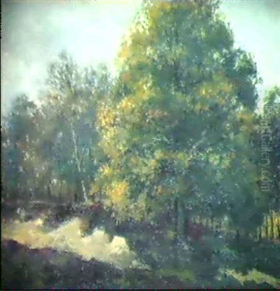 Waldlandschaft - view 1