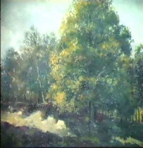Waldlandschaft