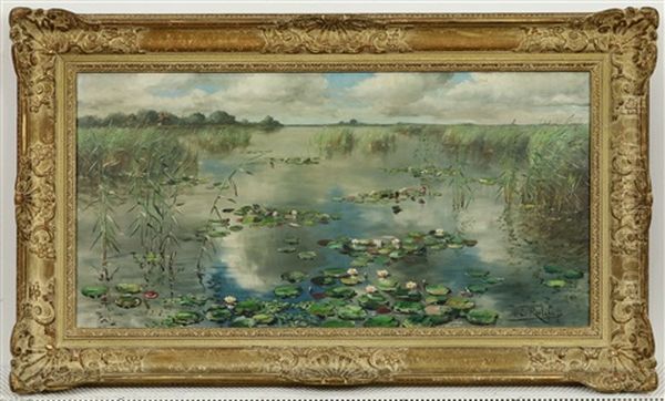 Waterlelies - view 1