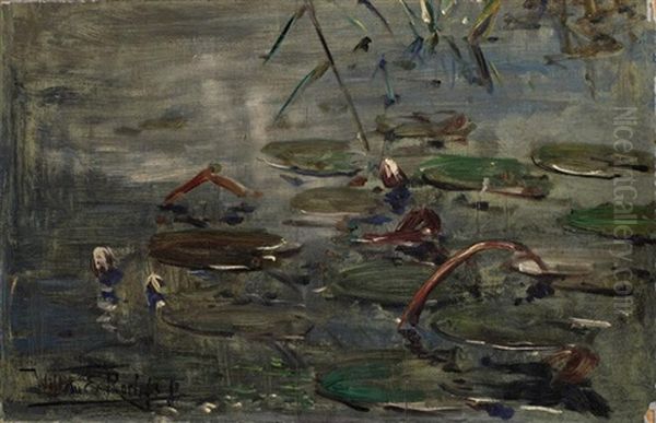 Waterlillies - view 1