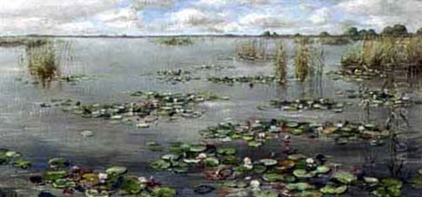 Plasgezicht Met Waterlelies - view 1