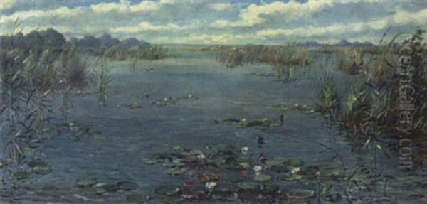 Seerosenteich - view 1