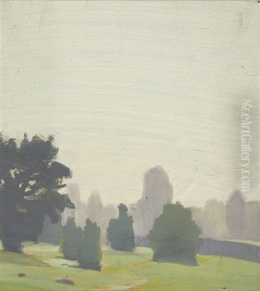 Mist - view 1