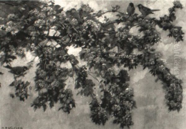 Bluhender Zweig Mit 4 Meisen - view 1