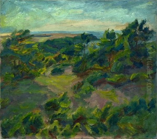 Ostpreussische Kuste - view 1