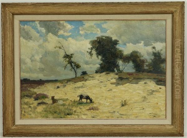 Heidelandschap Met Geiten Op Een Zandheuvel - view 1