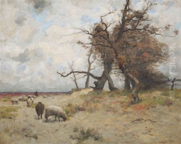 Herder Met Schapen Op De Heide - view 1