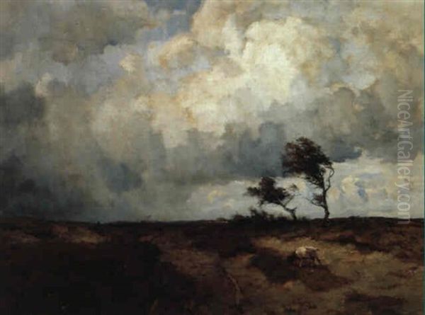 Grote Heide, Kleine Geit - view 1