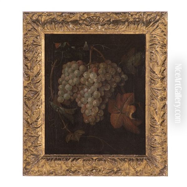 Grapes - view 1
