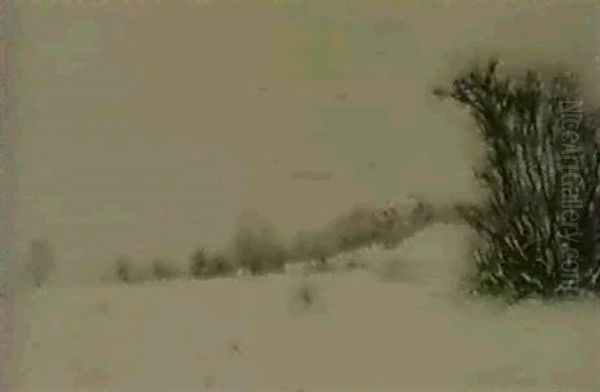 Paysage D'hiver Vers Marin - view 1