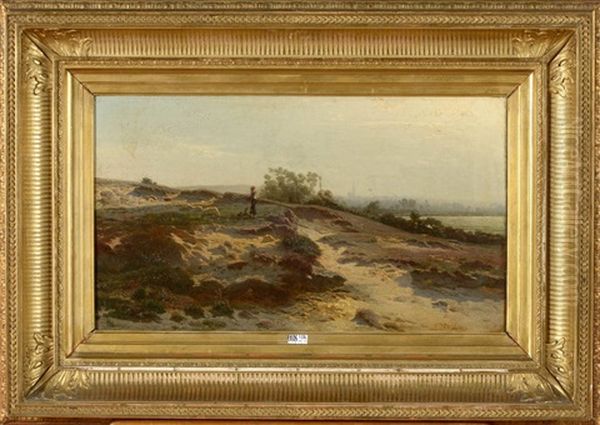 Berger Et Troupeau De Moutons En Campine - view 1