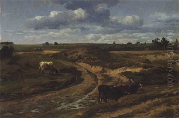 Cattle Grazing By A Sandy Track In Summer Near Genck - view 1