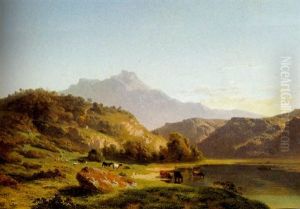 Zwitsers Landschap