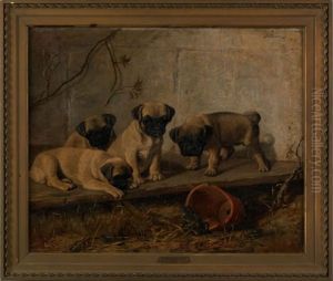 Four Pugs Staring At A Frog by Franklin Whiting Rogers