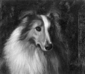Portrait Of A Collie by Franklin Whiting Rogers
