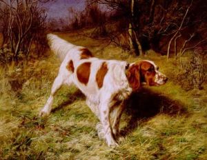 Setter In A Landscape by Franklin Whiting Rogers