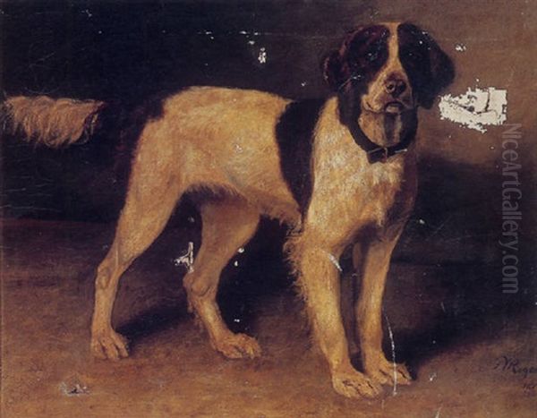 A Portrait Of A Dog Named "lassie" - view 1