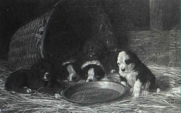 Puppies In A Stable - view 1