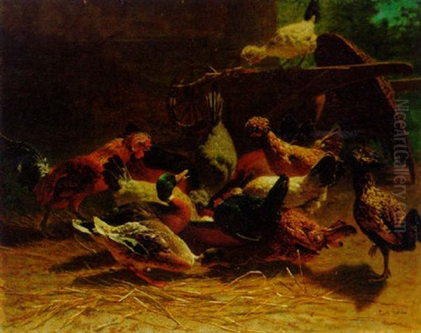 Chickens And Ducks In A Farmyard - view 1